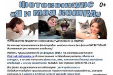 выкса.рф, Фотоконкурс «Я и моя кошка»