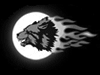 «Ночные волки» совершат крестный мотопоход через Выксу