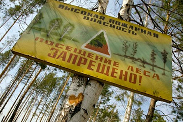Предупреждение МЧС: высокая пожароопасность лесов и торфяников