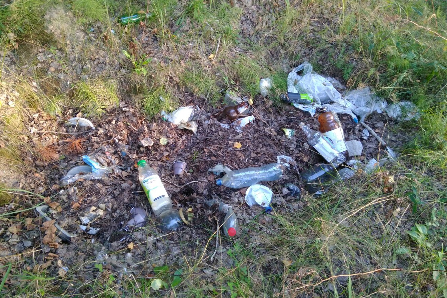 Отдыхающие закопали гору мусора возле озера в Нижней Верее