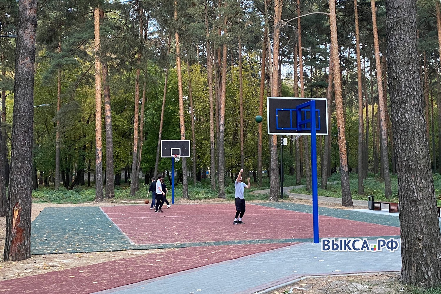 Новые спортивные площадки появились в лесопосадке