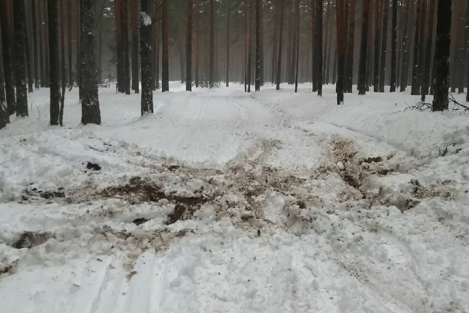 Неизвестный автомобилист испортил лыжную трассу на Ризадее
