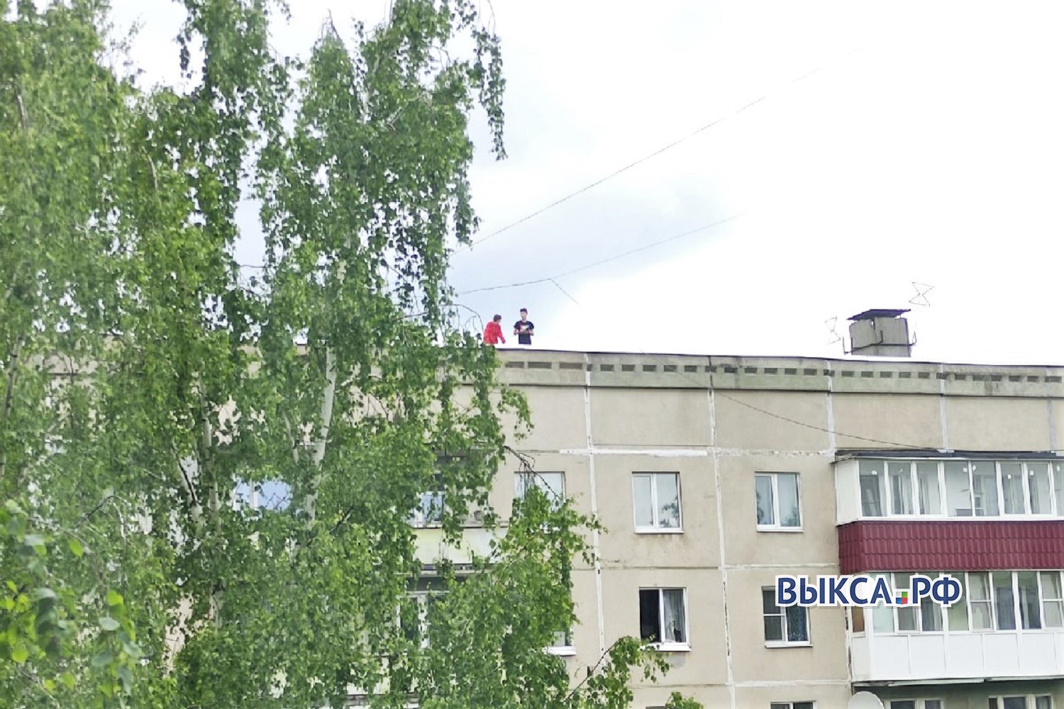 Школьники, которые гуляли по крыше