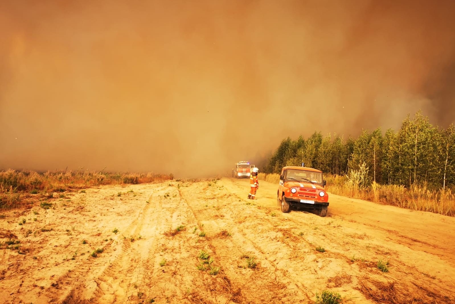 Семь спасателей из Выксы тушат лесной пожар в Сарове