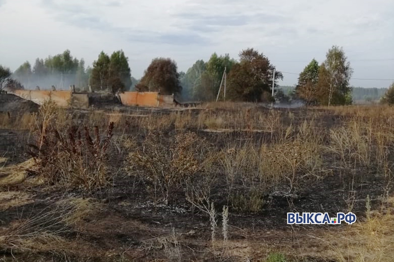 Три гектара травы и заброшенный коровник сгорели в Туртапке