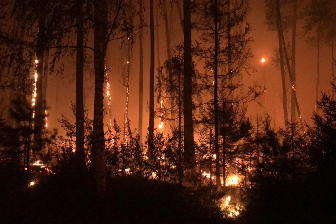 Лесной пожар из Мордовии снова подошёл к Сарову