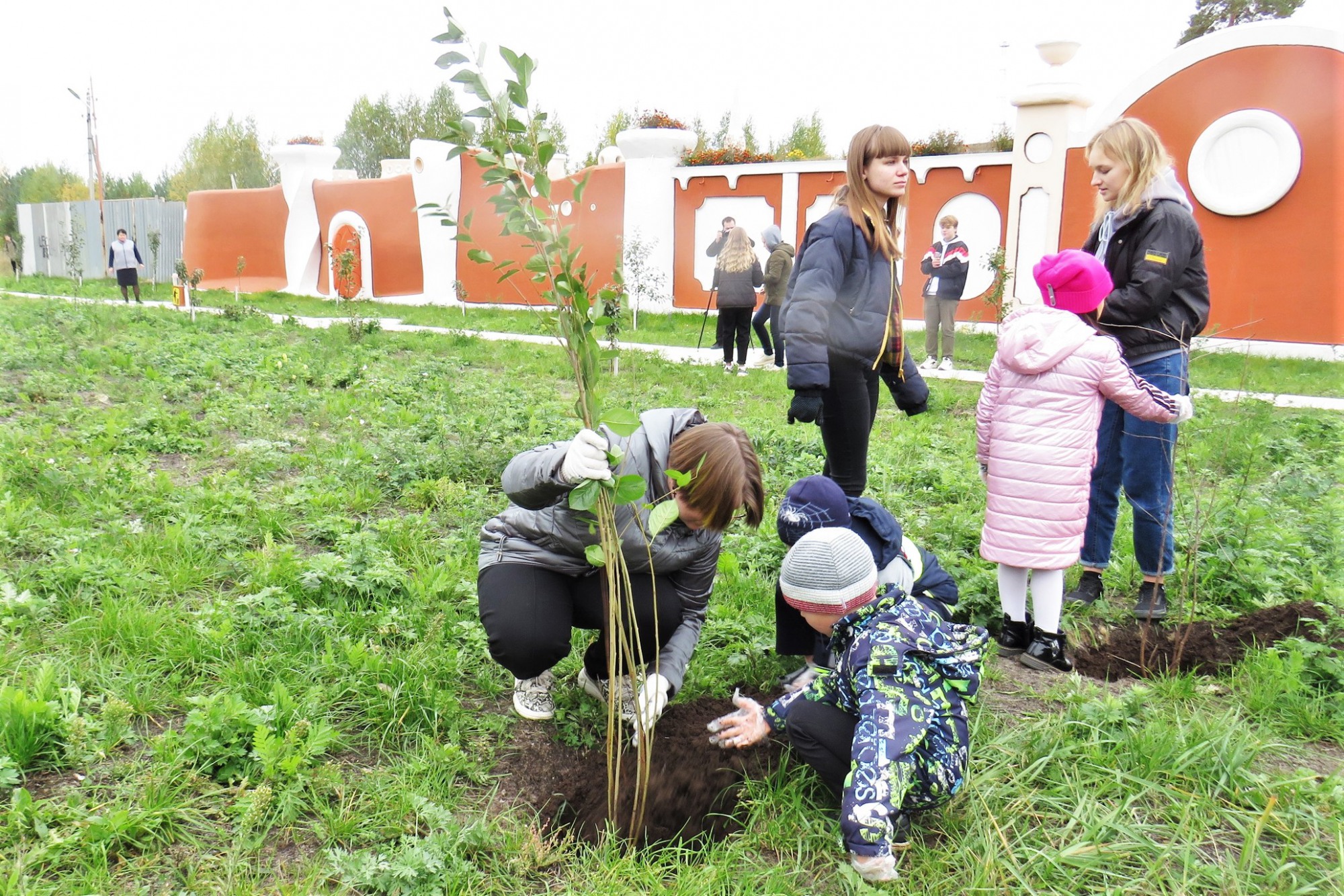 Школьники высадили вишнёвый сад