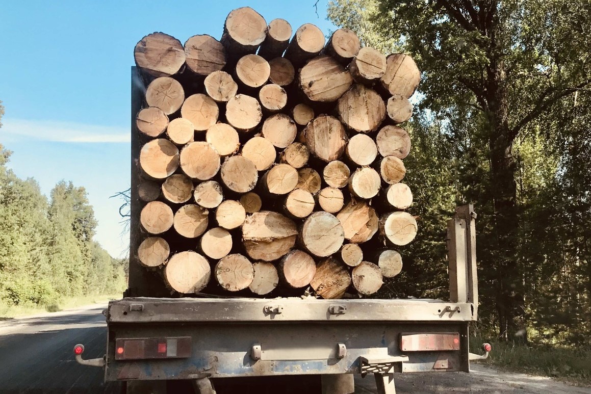 Для транспортировки древесины понадобится QR-код