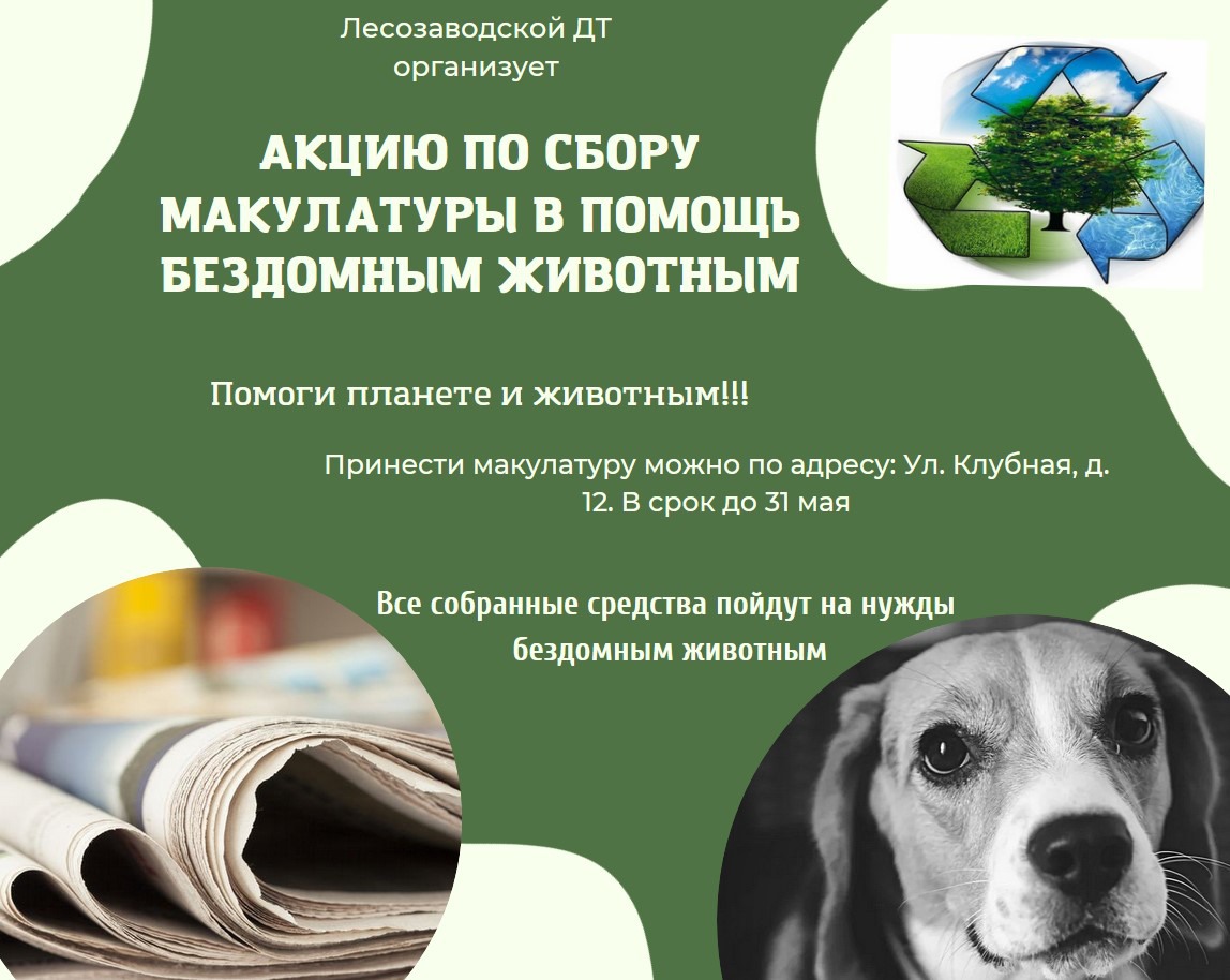 Лесозаводской ДТ собирает макулатуру для помощи бездомным животным