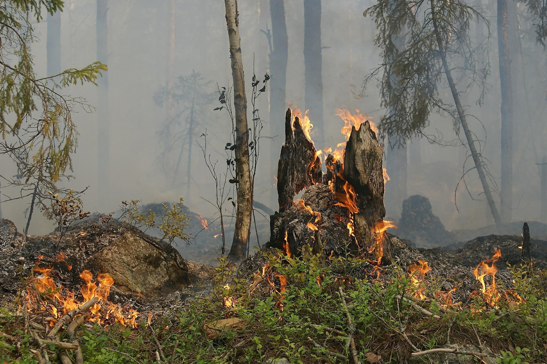 Пожароопасный сезон в Выксе начнётся с 25 апреля