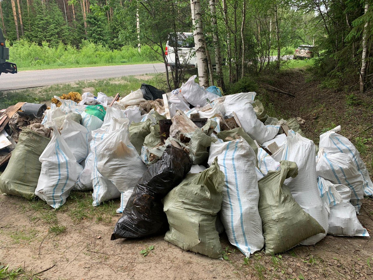 Участники акции «Чистый лес» вывезли 76 кубометров мусора