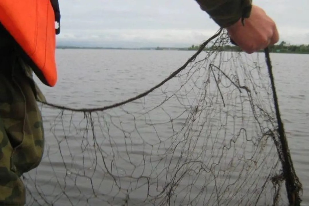 Браконьера с сетью задержали у берегов Выксы