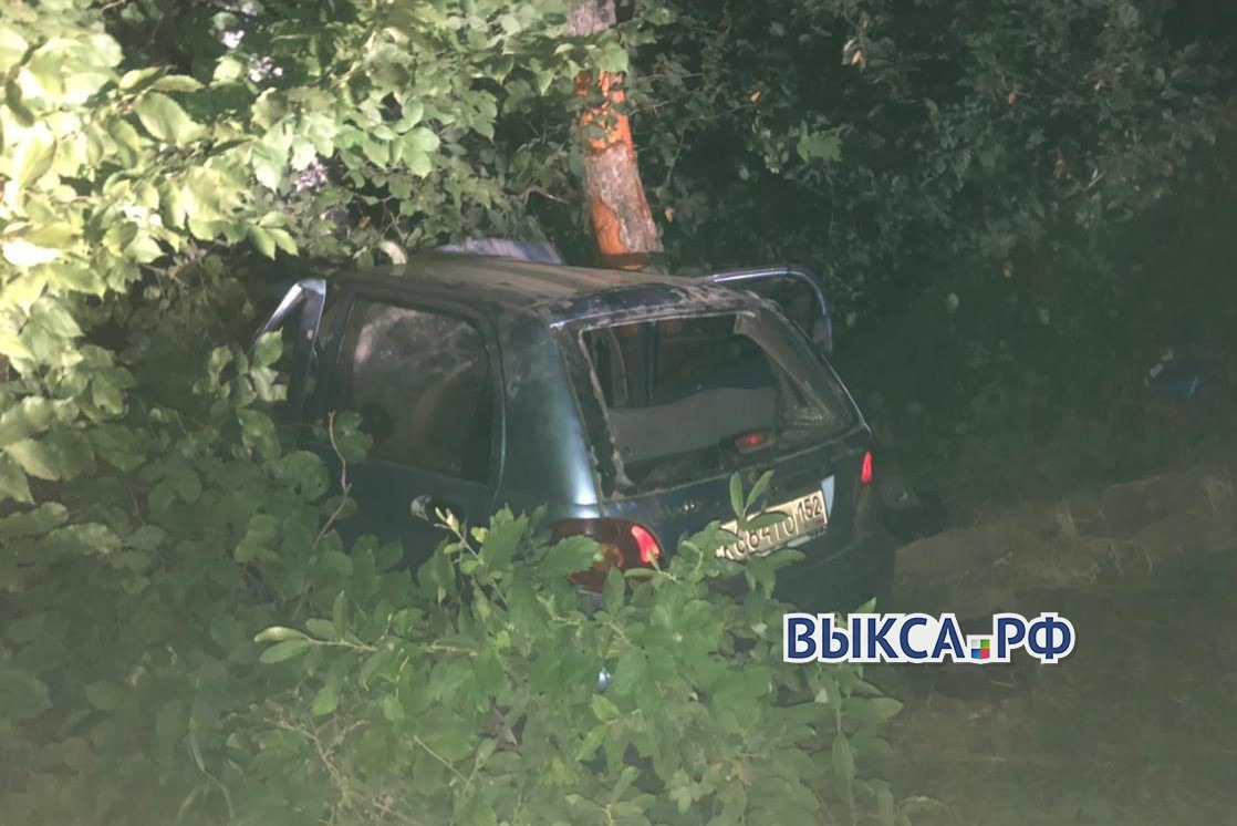 Пьяный водитель без прав протаранил дерево