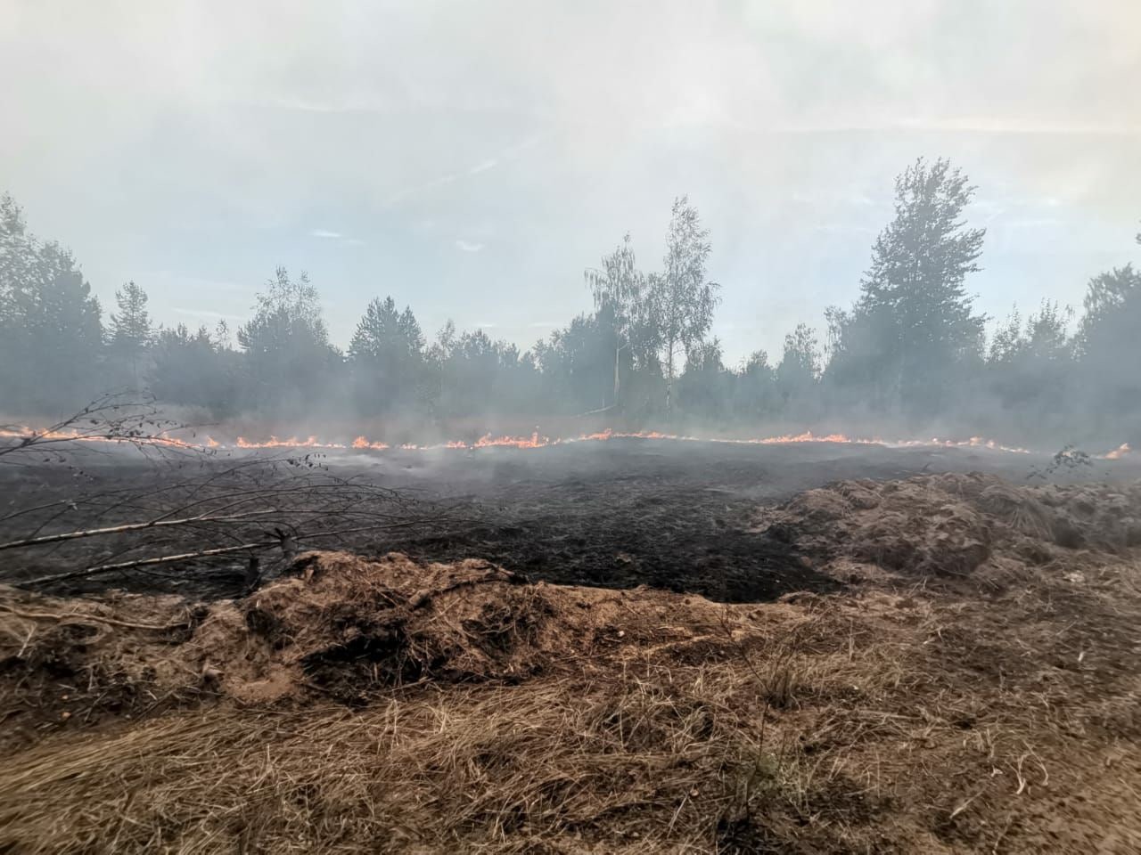 В Нижегородской области ввели режим ЧС из-за лесного пожара