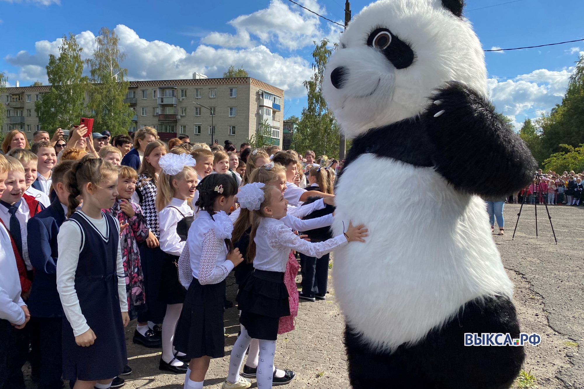 Ростовая панда приветствовала первоклашек школы №6