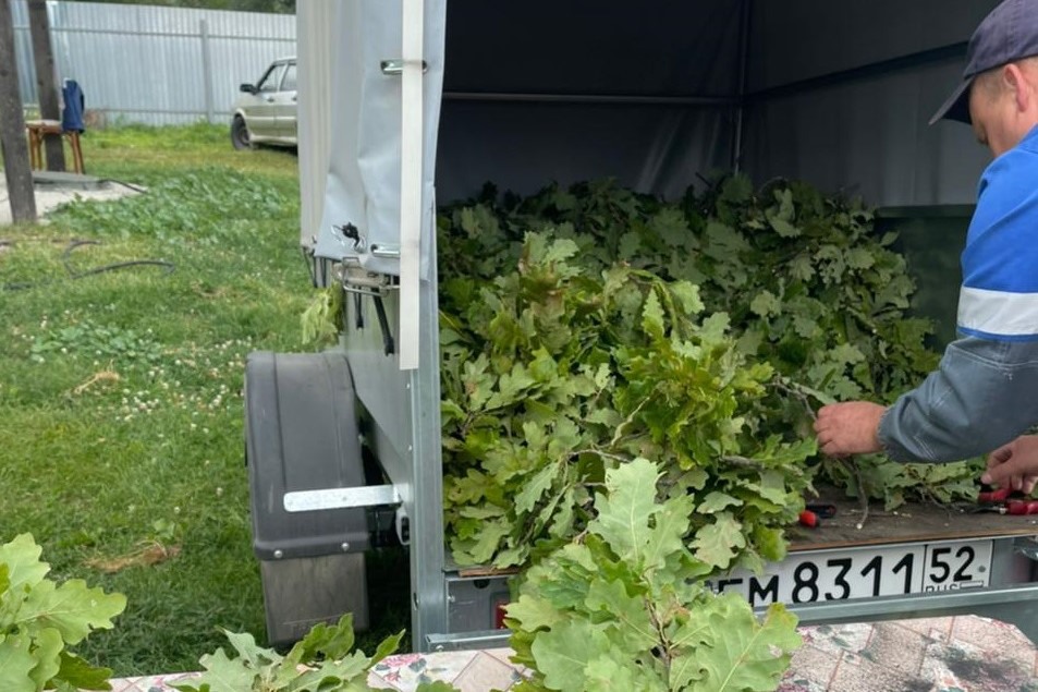 Житель Выксы открыл бизнес по продаже трав, грибов и ягод