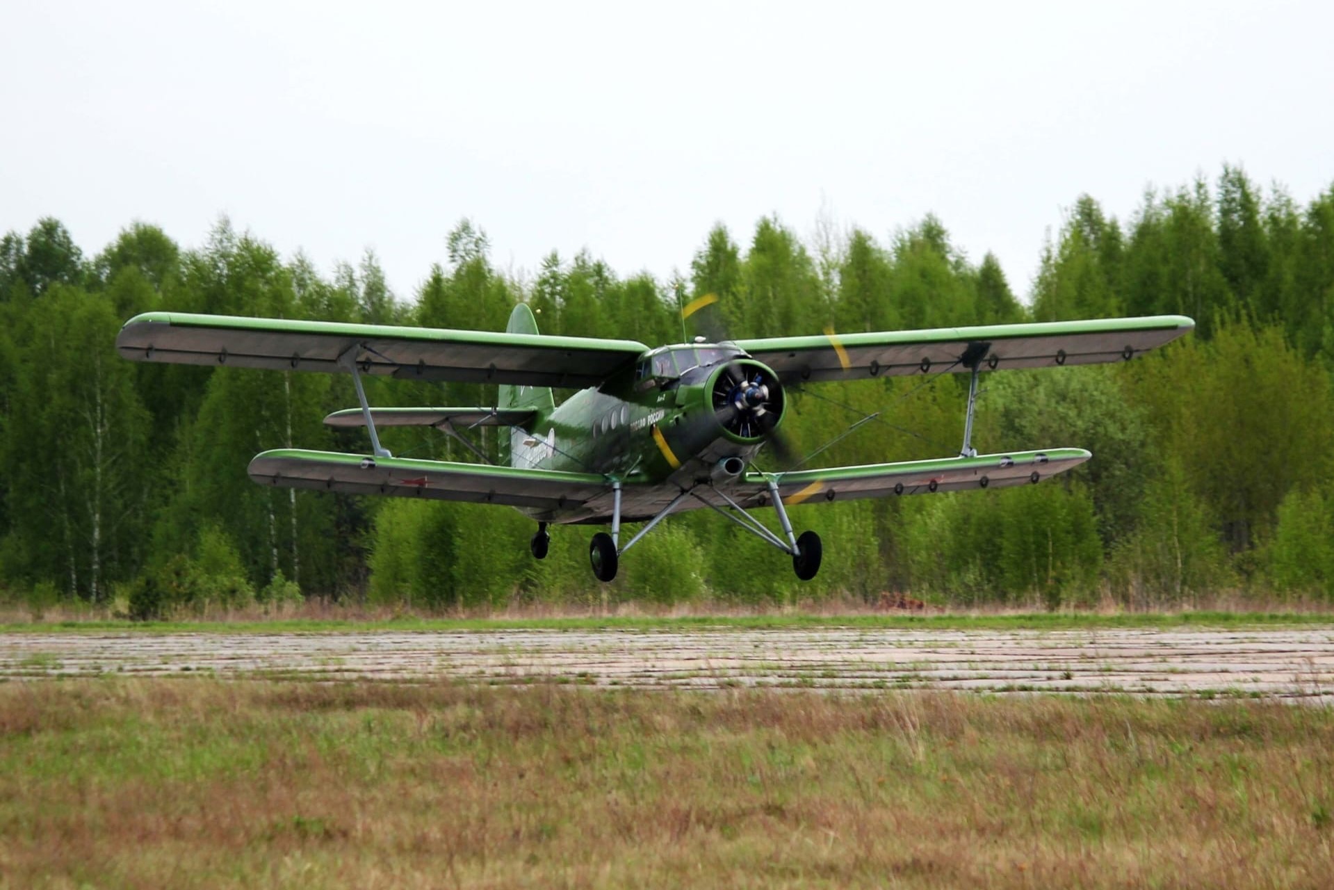 Более 18 млн рублей направят на авиамониторинг нижегородских лесов