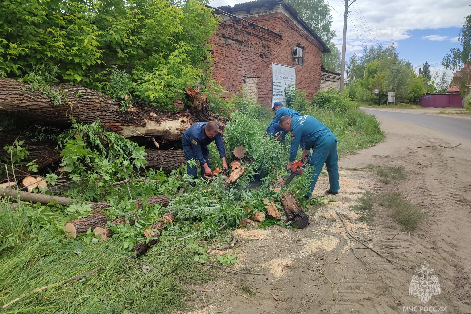 Пожарные распилили аварийные деревья у реки Выксунки