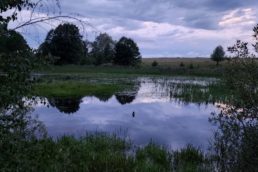 Депутат спас от засухи пруд в Пустошке