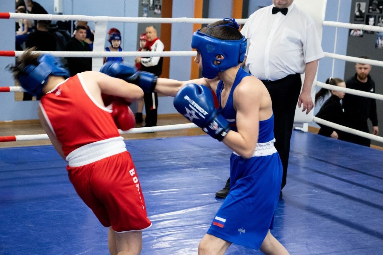 Боксёры выиграли восемь медалей в Нижнем Новгороде