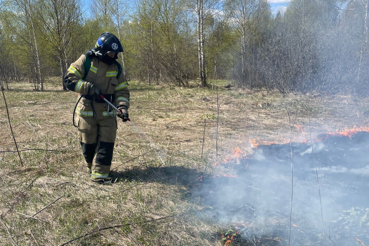 В Мотмосе сгорело 125 м² сухой травы